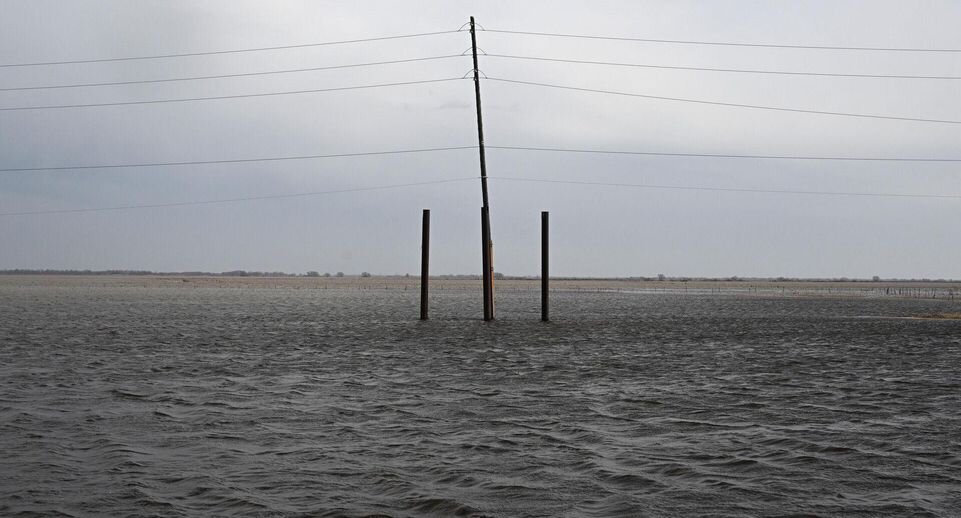    РИА «Новости»