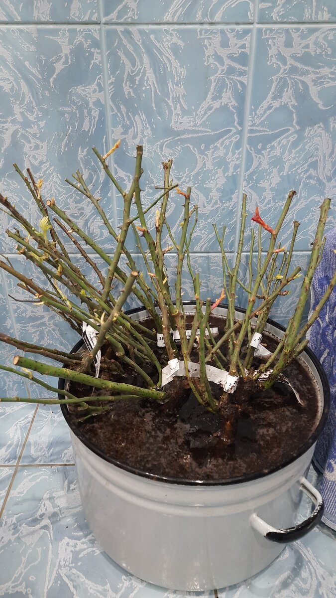 фото Татьяны