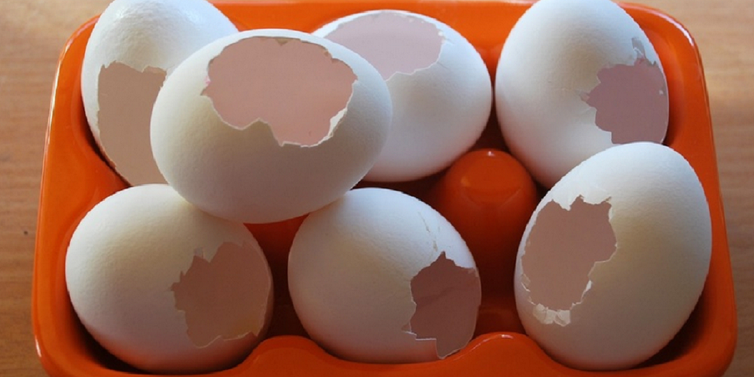 3 года мужик собирал у себя на участке яичную скорлупу от всех родственников. Соседи ухмылялись, а потом узнали секрет и стали делать также