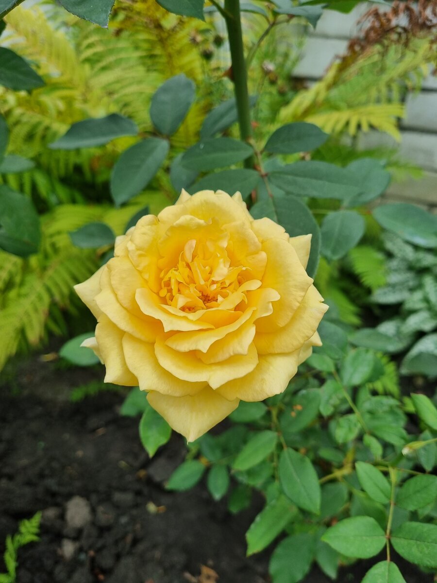 фото Татьяны