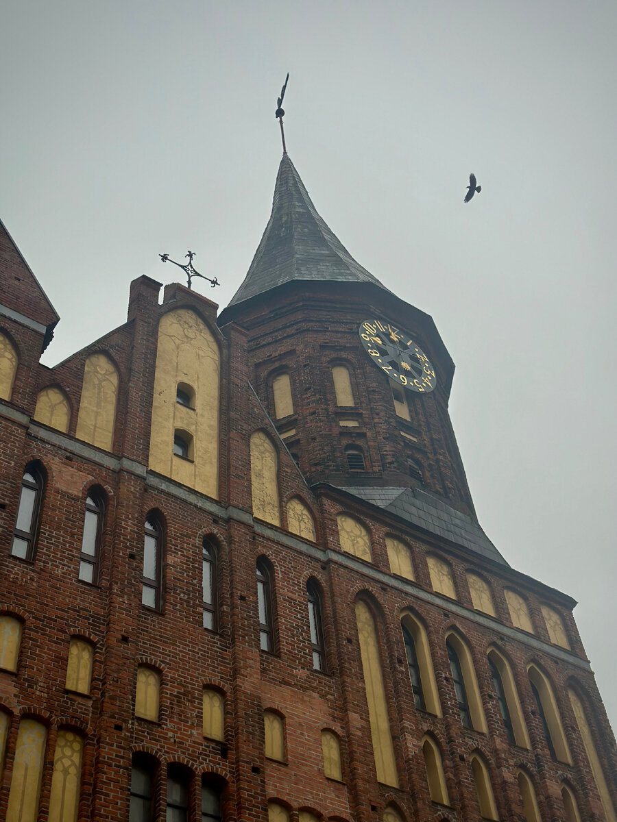 Все фото автора. 