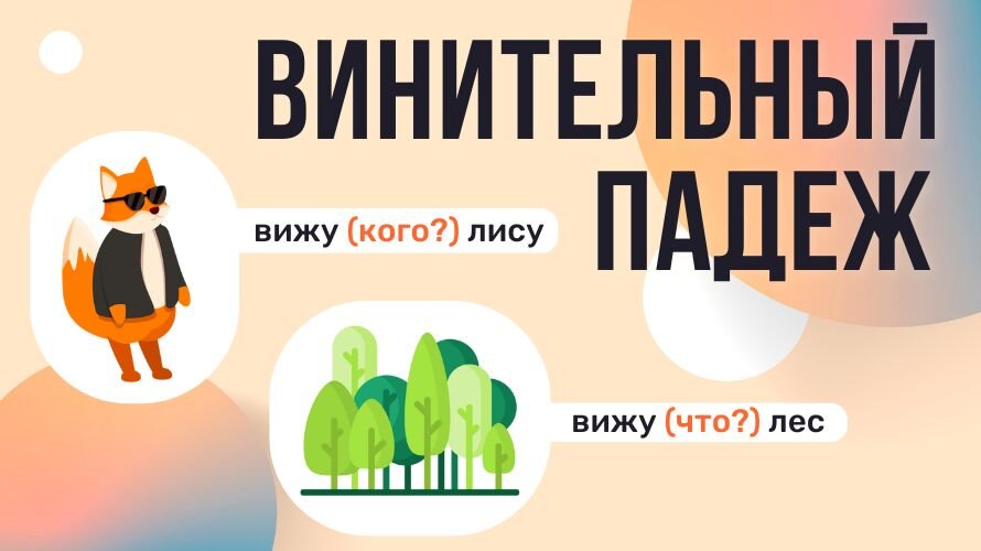 Винительный падеж в русском языке | Подробный конспект для 4 класса