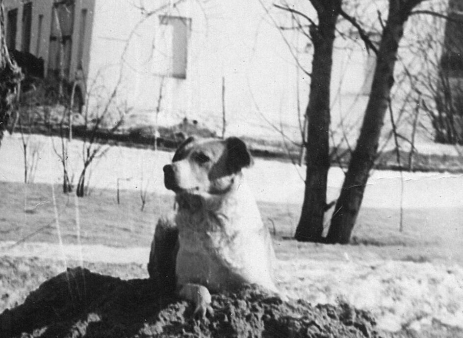 Пальмишечка на прогулке