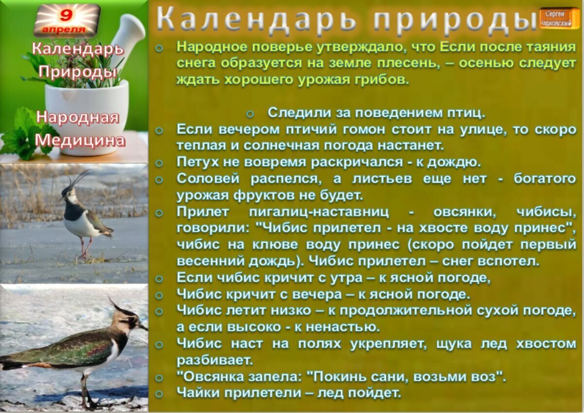 9 апреля приметы и поверья. 5 февраля народные приметы. 5 февраля народный календарь. 5 февраля народный календарь приметы. праздник агафий полухлебник.