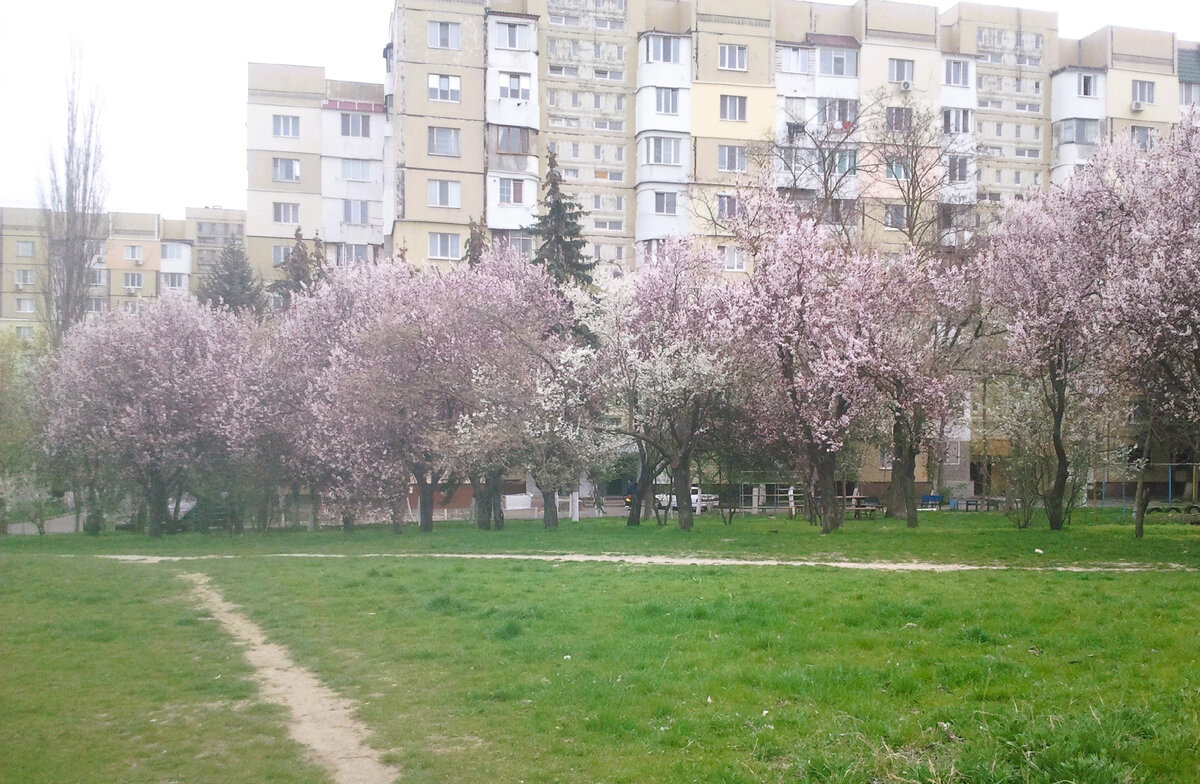 Фото автора