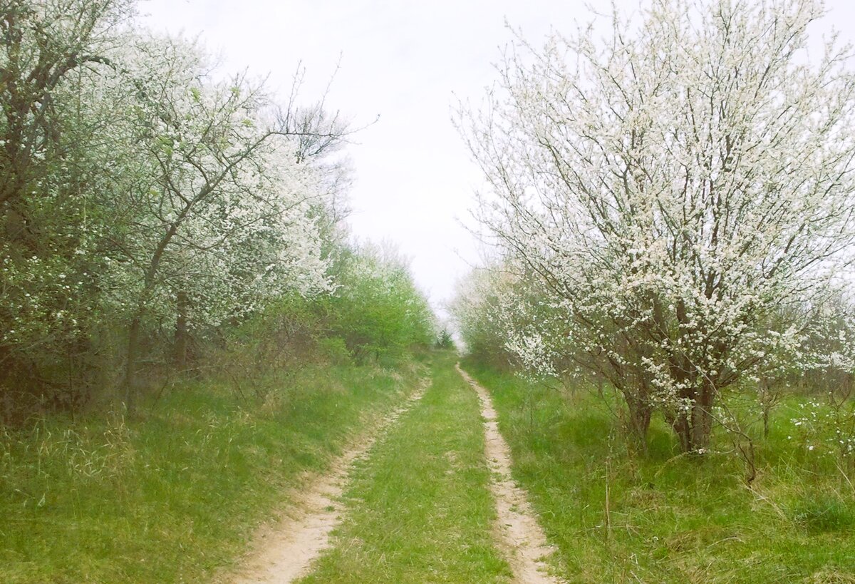 Фото автора
