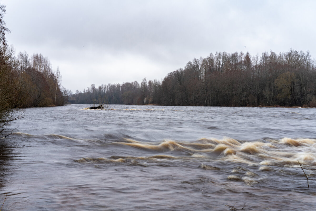 Река Мста: пороги, водопады и подвесные мосты | Русская дорога | Дзен