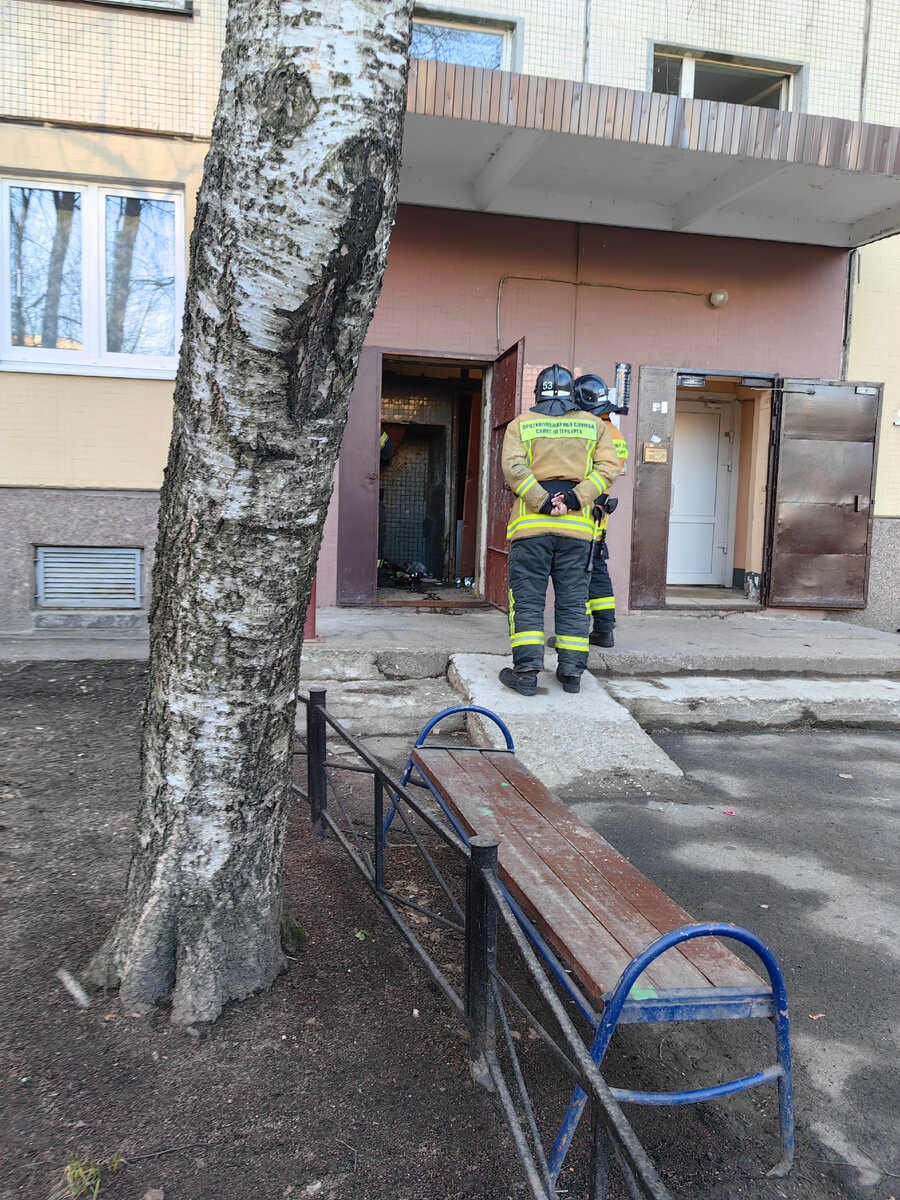 Сегодня у нас тепло, даже жарко временами и гарью пахнет | От рака до  счастья точно есть путь, иду по новой тропинке | Дзен