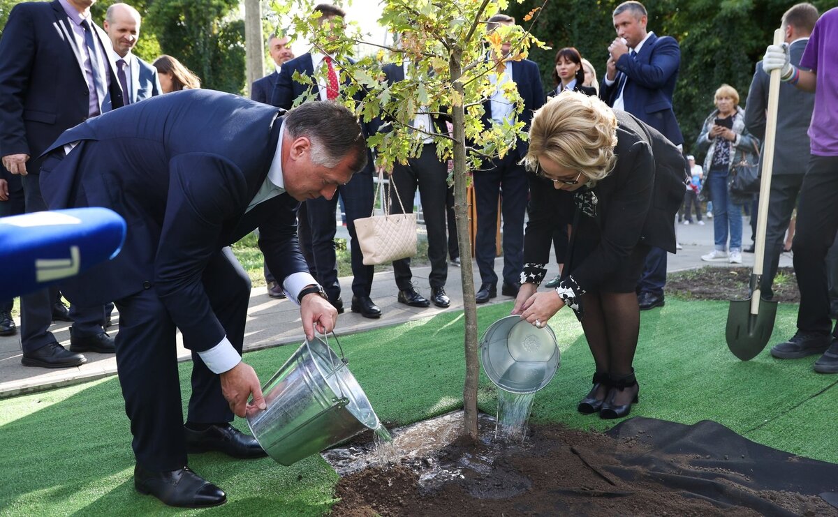 Дерево сажаем, а трава уже зеленая. Фото Яндекс.Картинки. 
