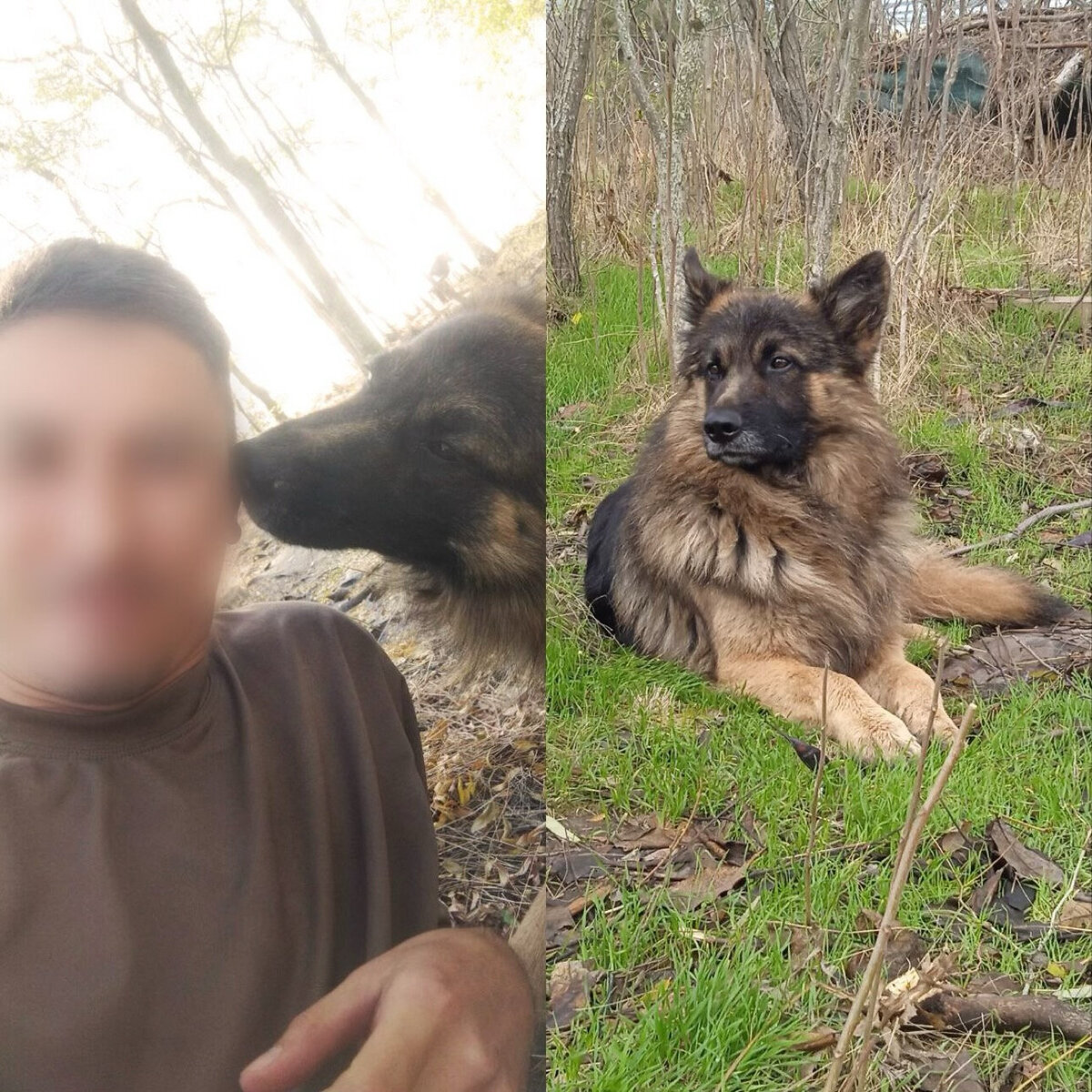 Фото взято из интернета