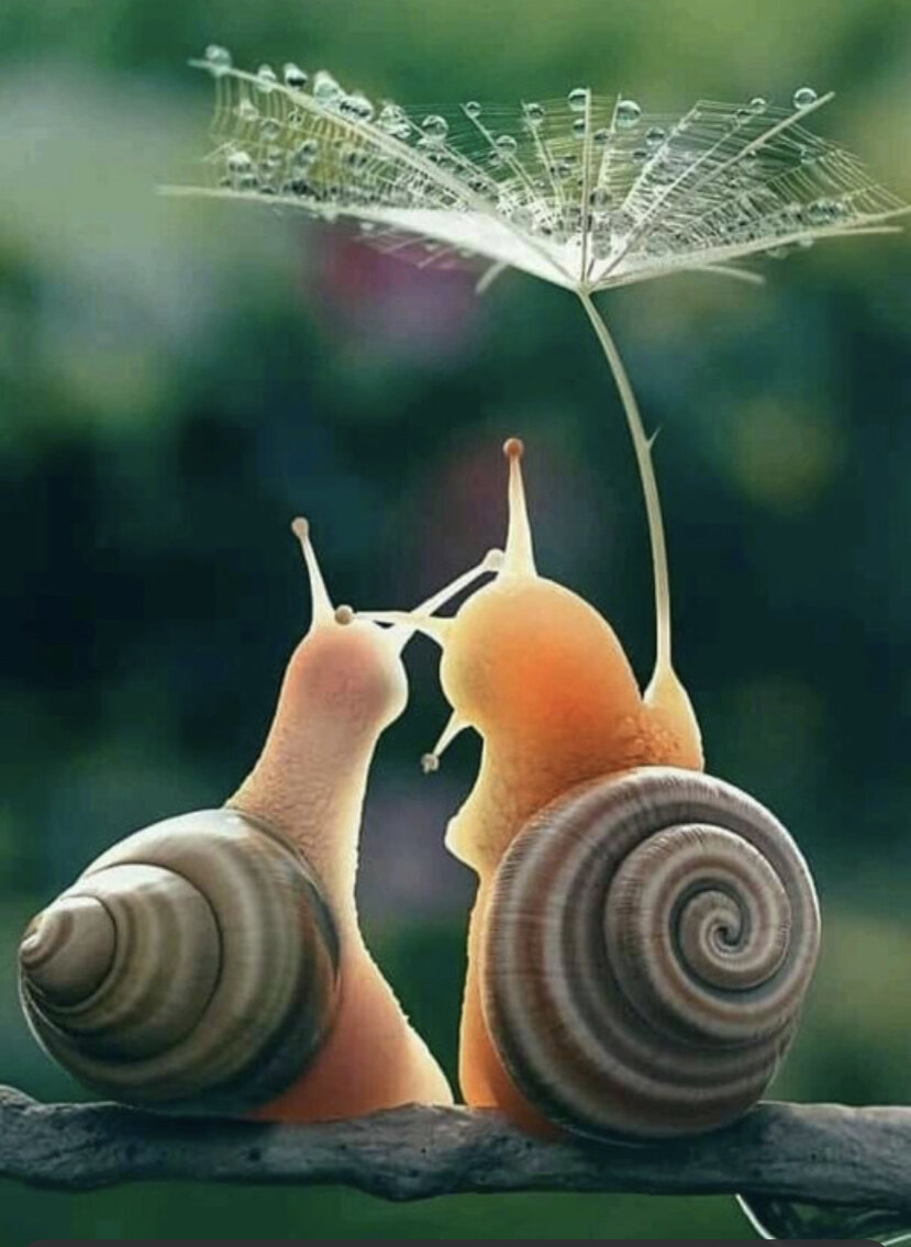 Картинка из открытых источников для иллюстрации статьи