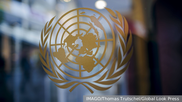     Фото: IMAGO/Thomas Trutschel/Global Look Press   
 Текст: Кристина Цыцура