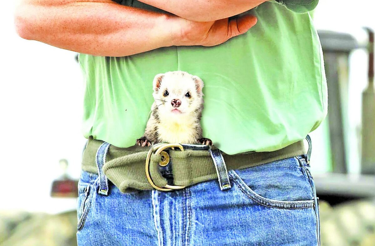 Фото из интернета.