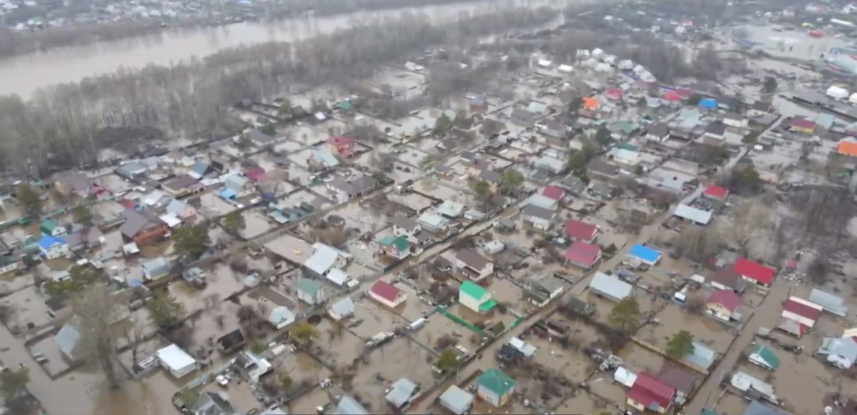  📷    Сергей Салмин: Не ждите, когда вода зайдет в дома, эвакуируйтесь и не бросайте животных Кристина Просвиркина
