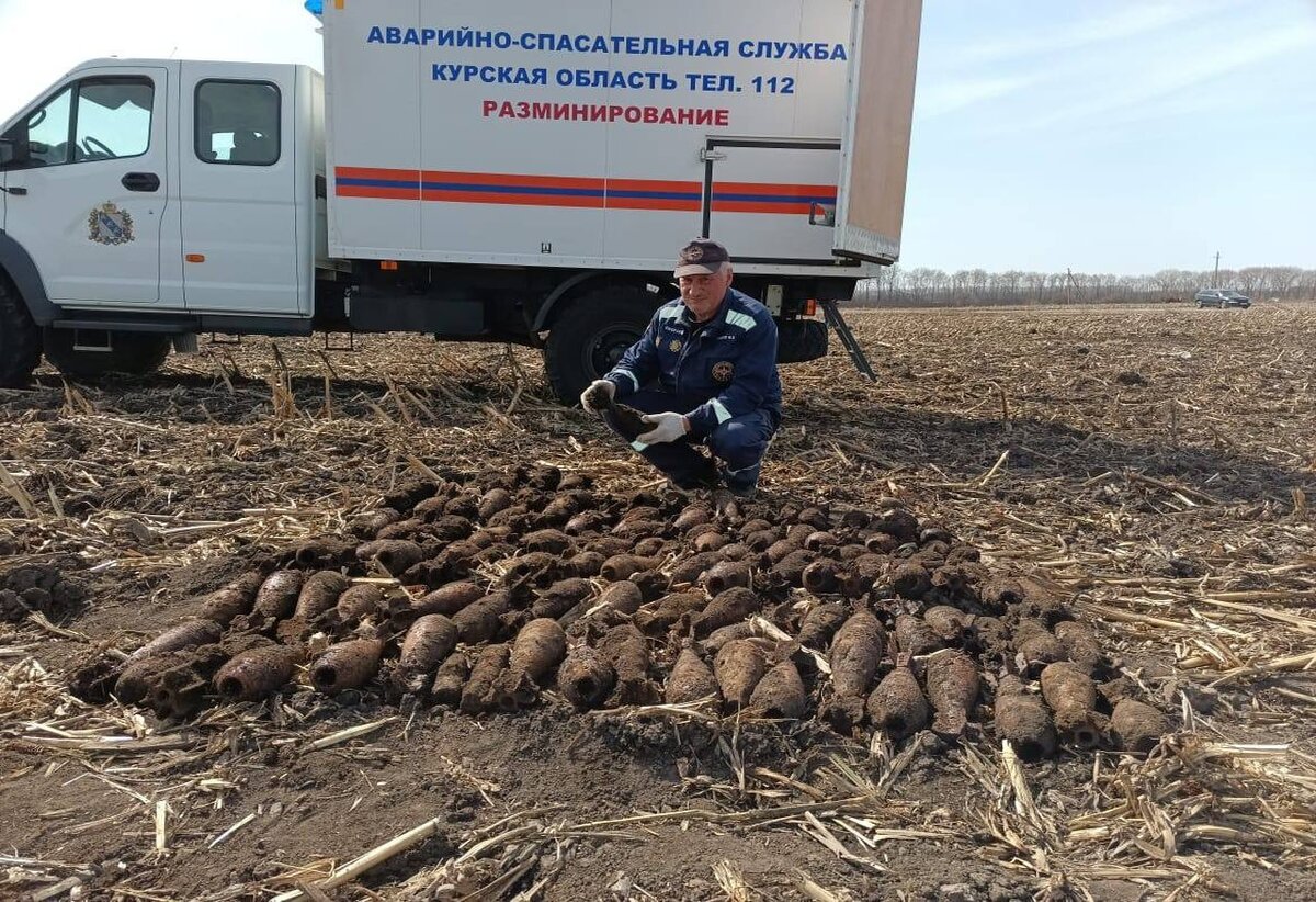 В Курской области спасатели обезвредили порядка 120 боеприпасов | Вести- Курск | Дзен