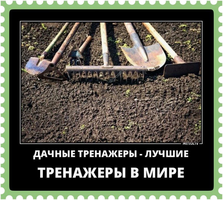 Дача юмор. Открытки с дачным сезоном. Приколы про дачу. Дачники юмор. Юмор про садоводов и дачников.