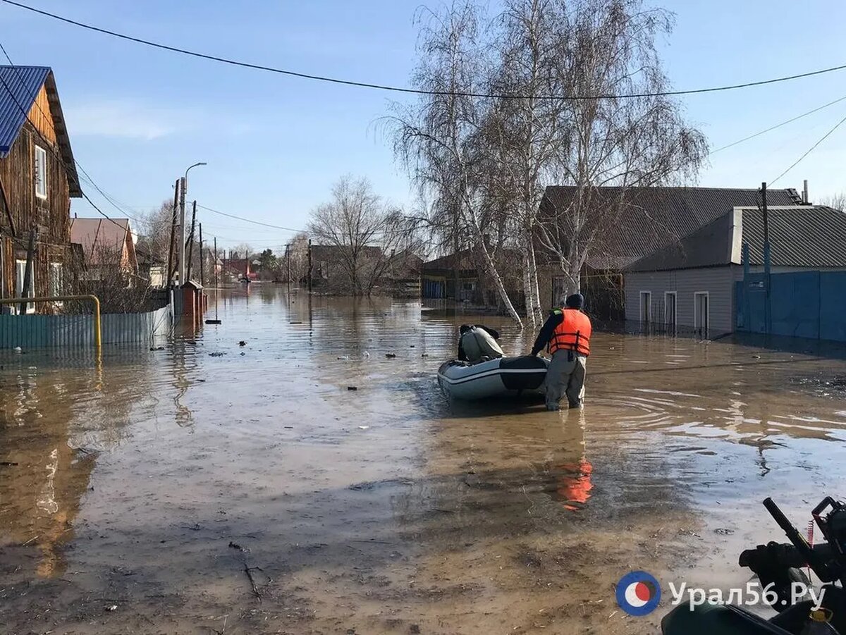 В Оренбургской области из-за паводка подтоплены более 2500 жилых домов |  Правила жизни | Дзен