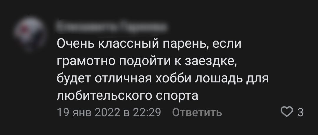 Сочетание осмысленного лошадиного взгляда из подобных мест с позитивным комментарием о кондиции и перспективе зверя от хорошо знакомого человека - довольно редкая картина. Поэтому - внимание зацепилось.