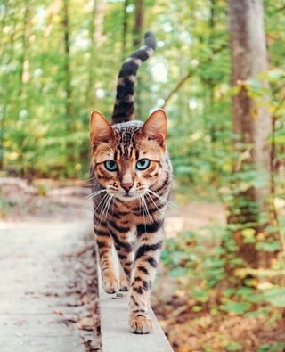 Фото из Интернета.