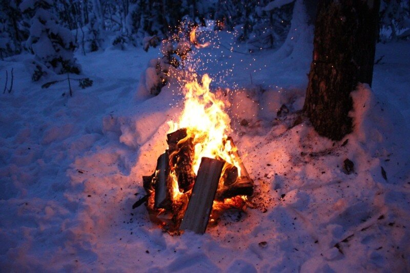 фото из интернета