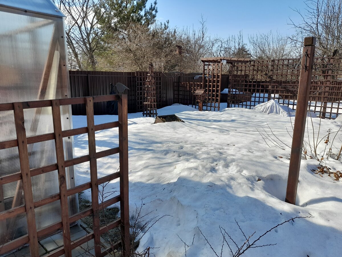 31 марта 2024 года