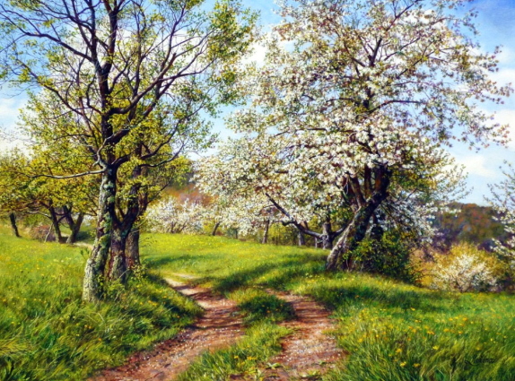 Источник изображения : sitella.livejournal.com и Яндекс картинка.