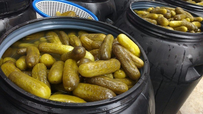 Соленья в бочке. Соленые огурцы в бочках. Помидоры бочонок. Соление арбузов в бочке. Соленья в бочках.