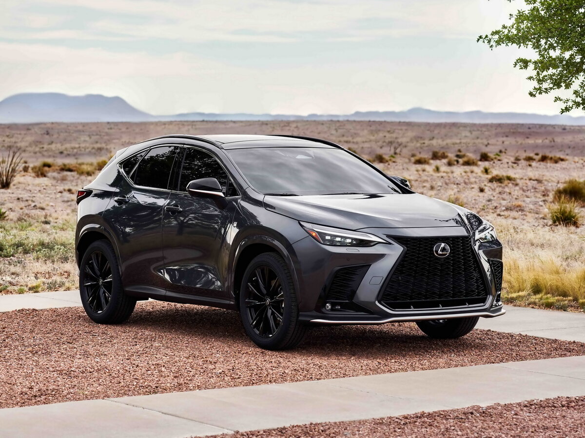 https://avtonam.ru/wp-content/uploads/2021/06/lexus-nx-2022-12.jpg