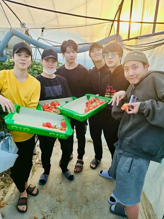 И крестьянам помогают ... ( в подшефном совхозе на уборке клубники)