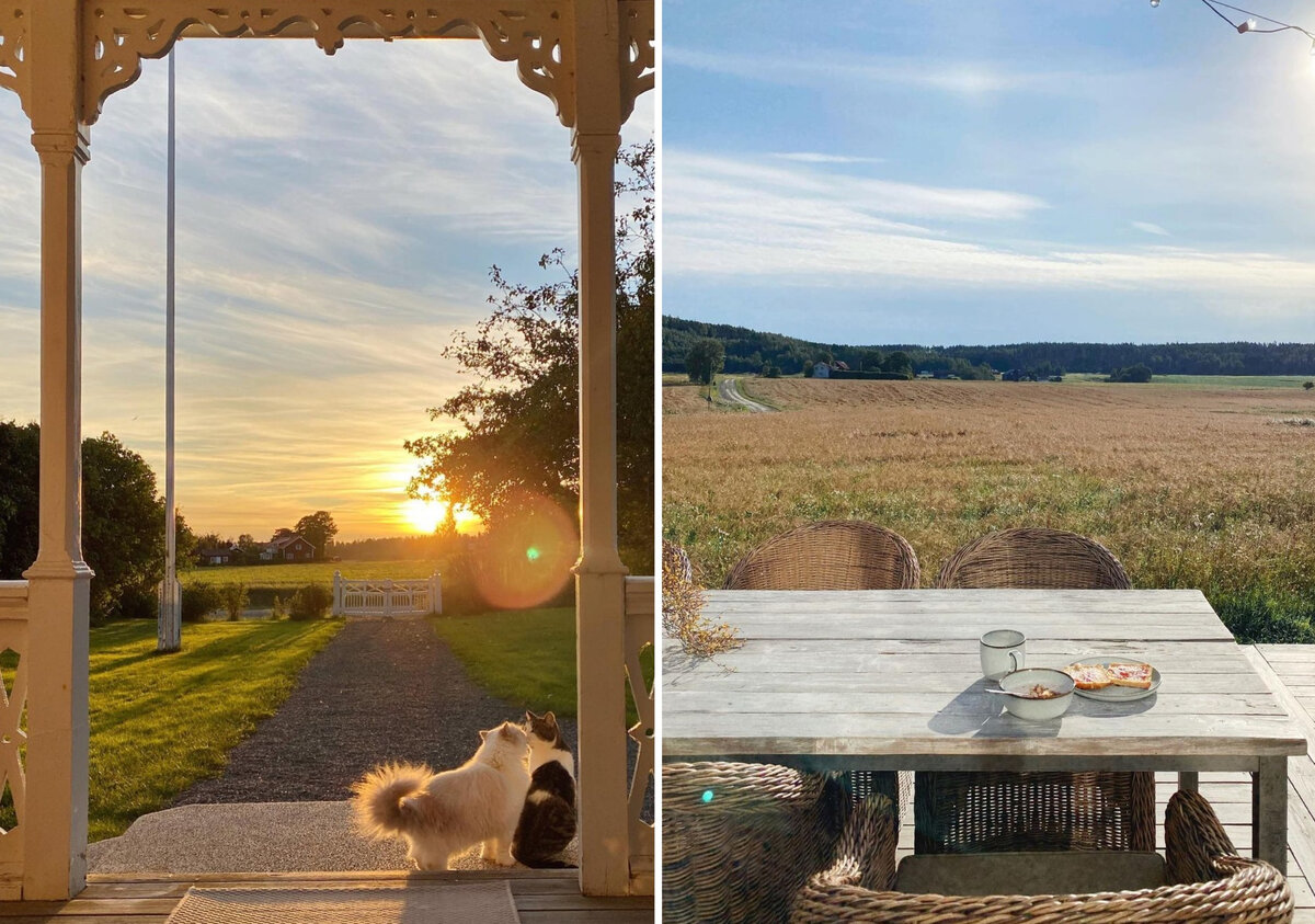 Так выглядят места, где после развода с мужем поселилась Камилла. На фото слева — вид с крылечка ее нового домика. На фото справа — вид с террасы на заднем дворе