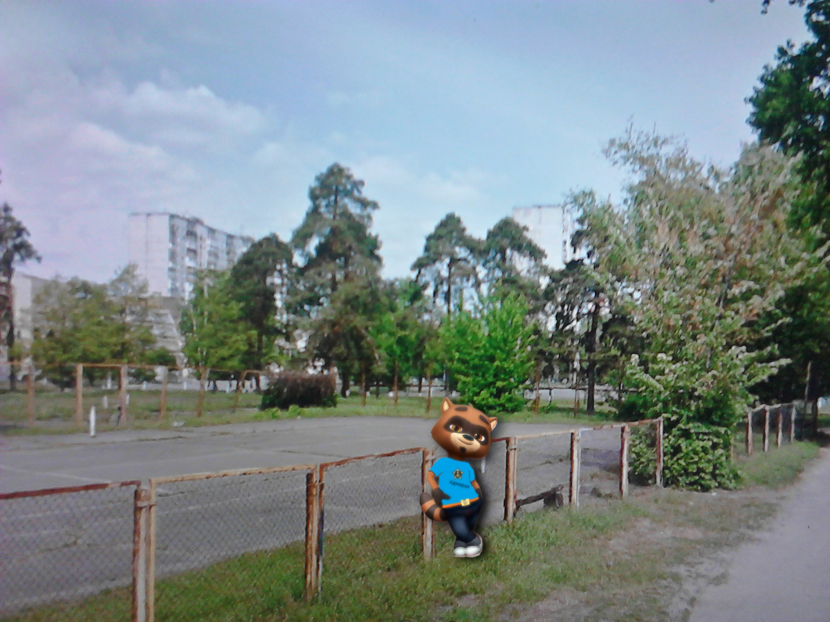 Рой возле спортивной площадки в Парке Партизанской славы в Киеве в 1997-м году.