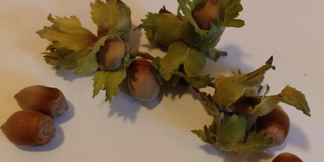 Необъяснимые феномены в психологии