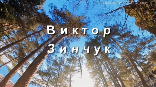 Виктор Зинчук, Лунная соната Л.В. Бетховен, Классика в современной обработке, музыка для души