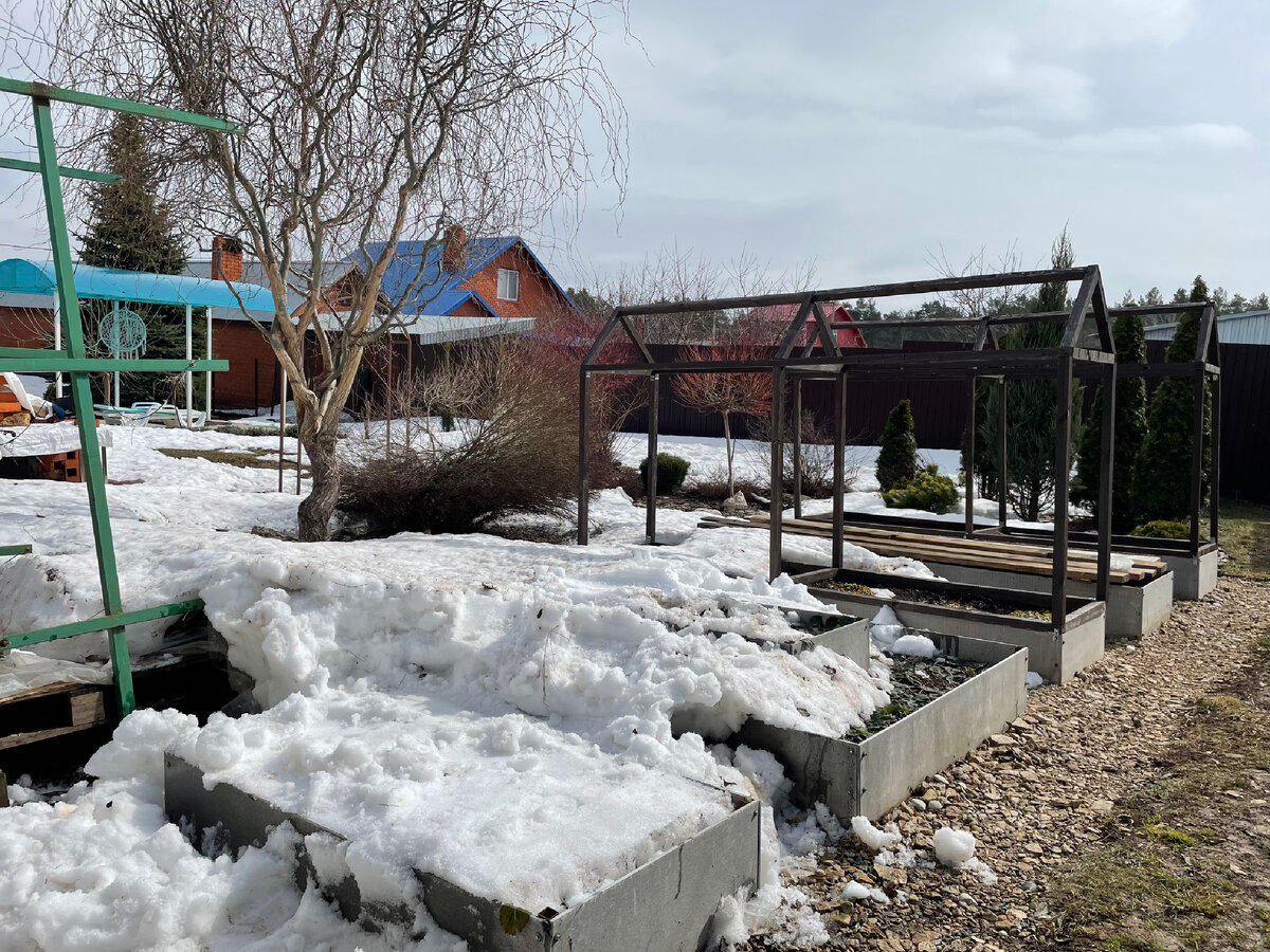 Огород, 7 апреля 2024 г.