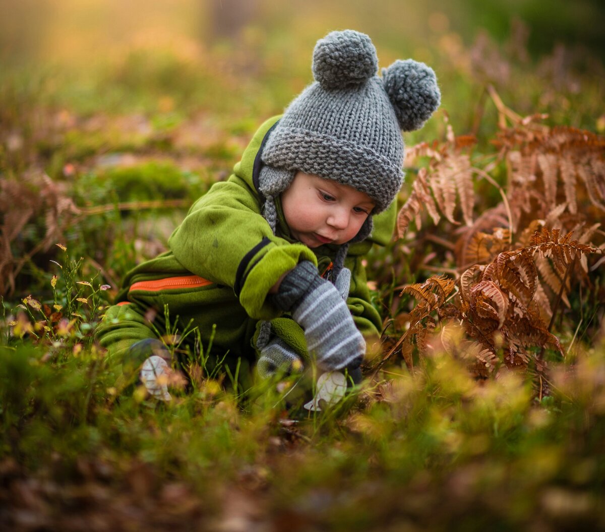 Photo by 🇸🇮 Janko Ferlič on Unsplash