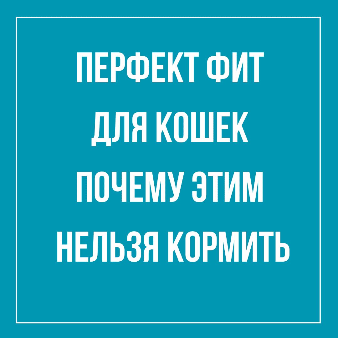 Перфект фит для кошек – почему этим нельзя кормить | Зоопсихолог Наталья  Кир. Кошки и собаки. | Дзен