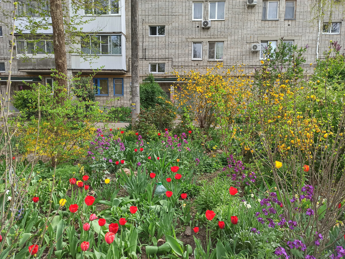 Краснодар. Апрель 2024.