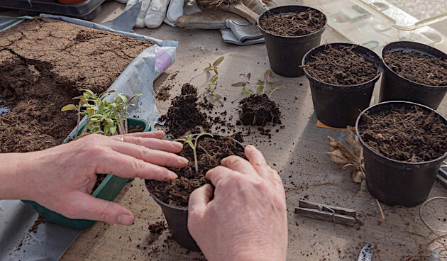    Фото: pixabay.com