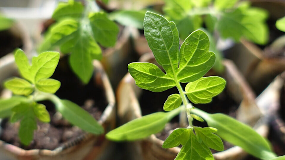 Фото: pixabay.com