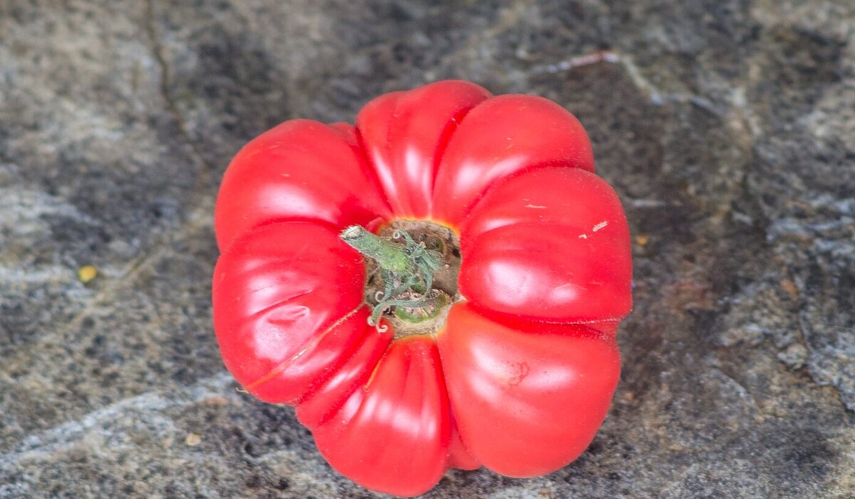 Фото Cycle en Terre SC