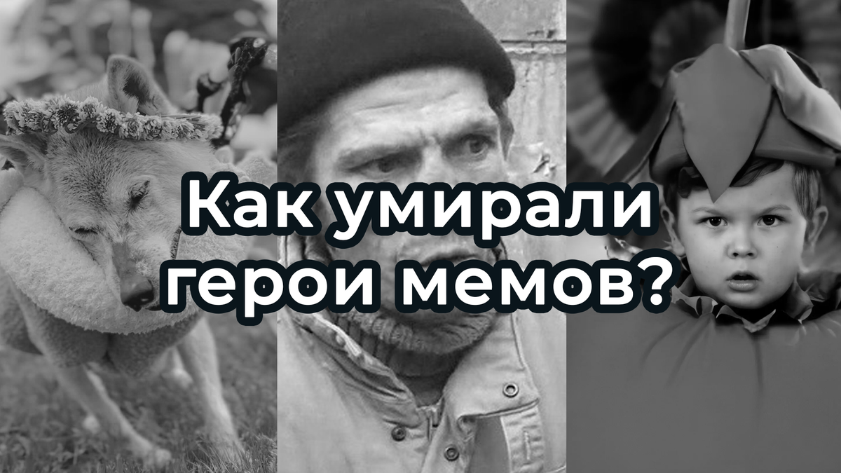 Сегодня грустная подборка. Обычно мы рассказываем про свежие мемы, интересные тренды или показываем шутки на актуальные темы. Но на эту подборку нас натолкнула собака Доге.