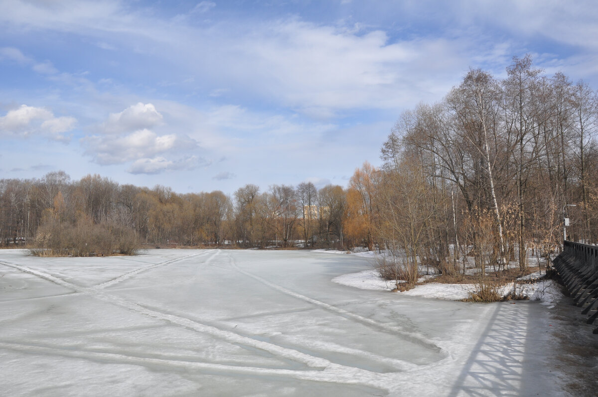 Один из прудов Покровское-Стрешнево. Фото автора