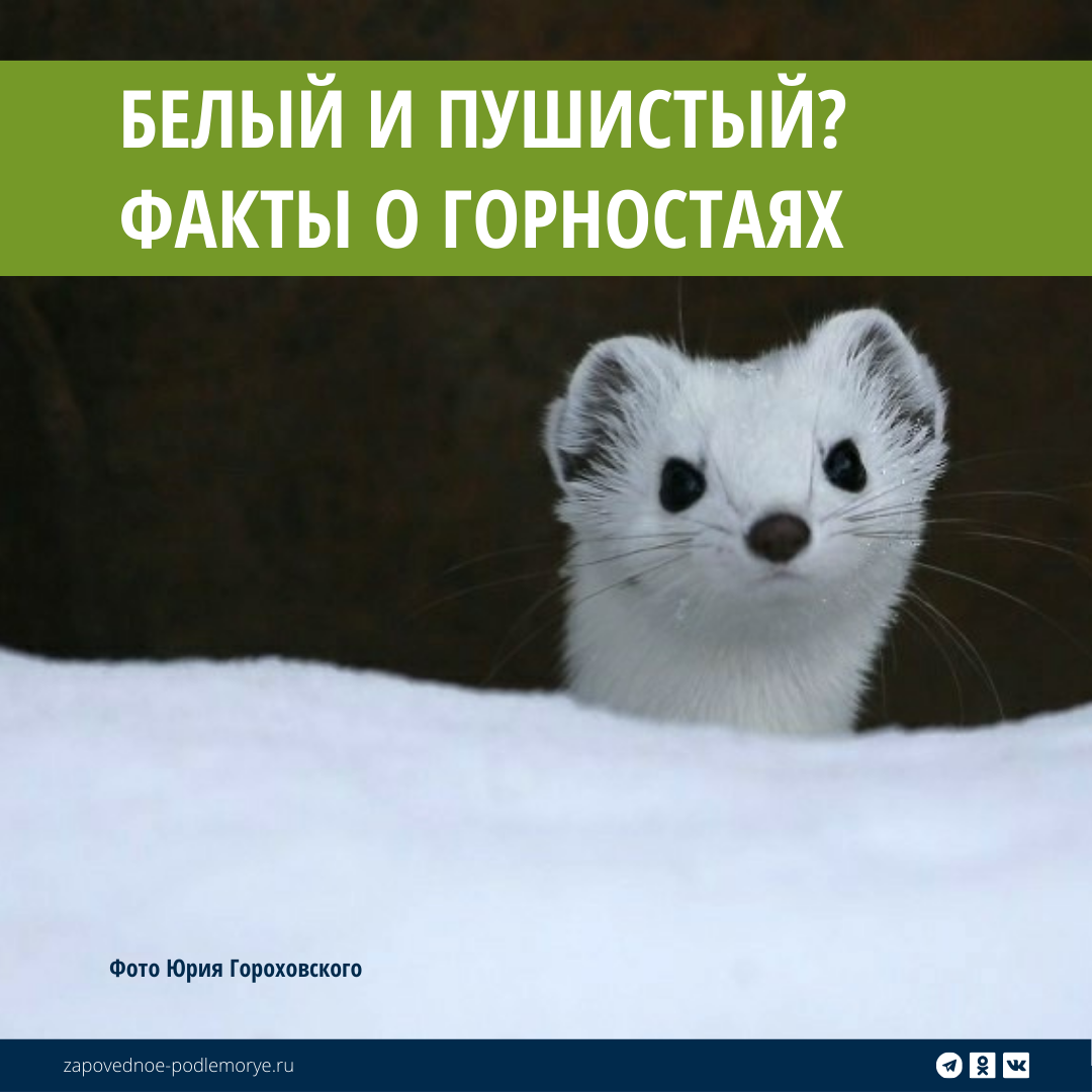 Листайте галерею! 👉🏻