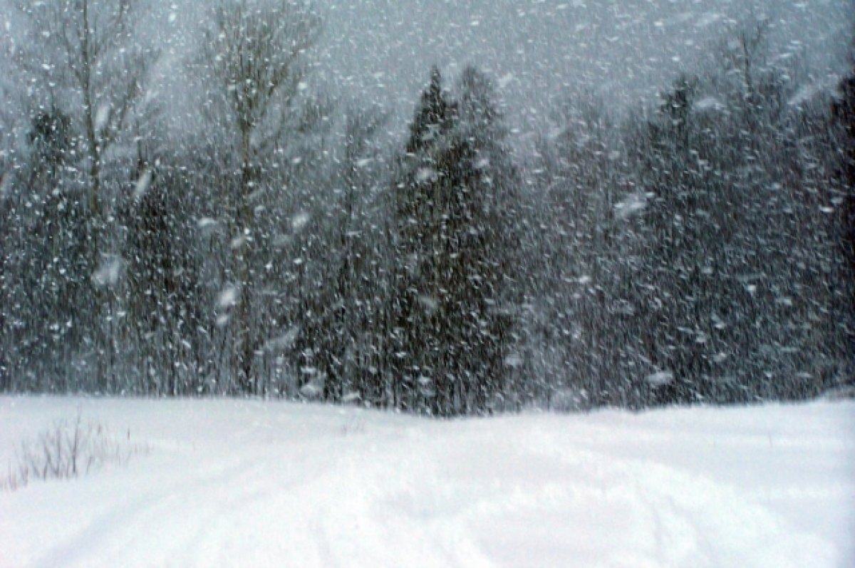    Непогода в Палане на Камчатке мешает поискам отравившихся туристов
