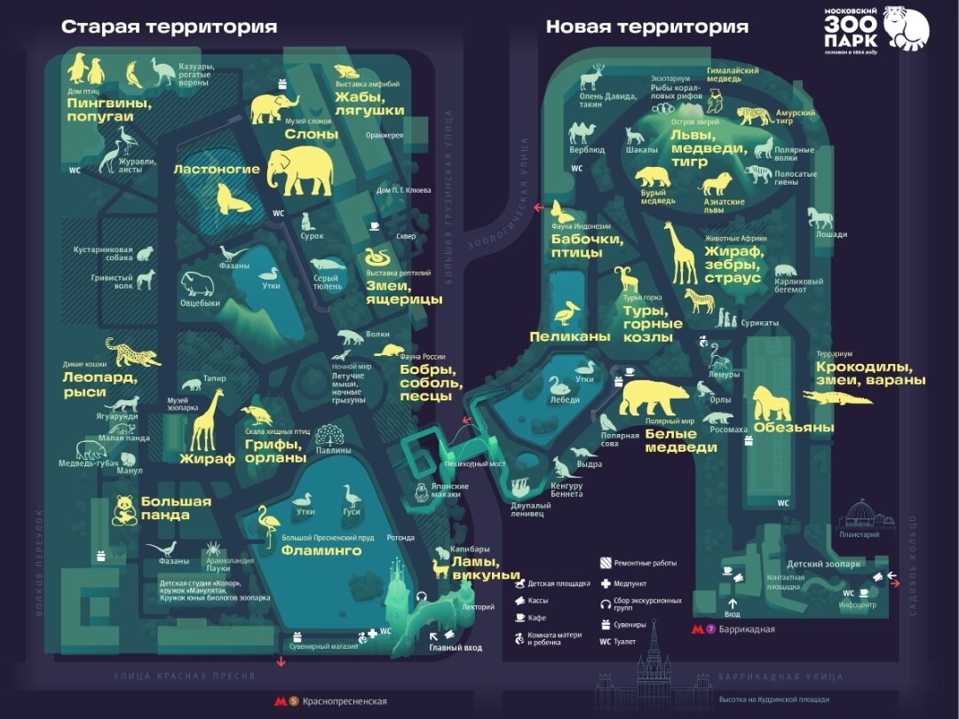 МОСКОВСКИЙ ЗООПАРК. | ГОТОВИМ И РАЗВЛЕКАЕМСЯ ВМЕСТЕ | Дзен