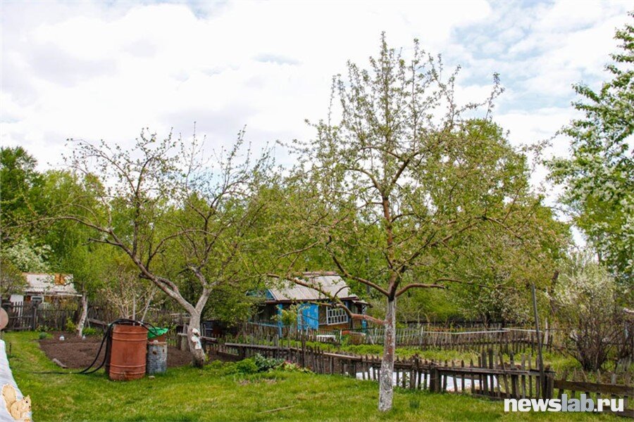 Дача — это всегда поле для экспериментов 