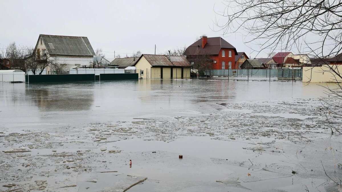 Повышение уровня воды в Звериноголовском округе: губернатор о масштабе  проблемы и продолжающейся эвакуации | ВотТак (ВТ) - vottak.me | Дзен