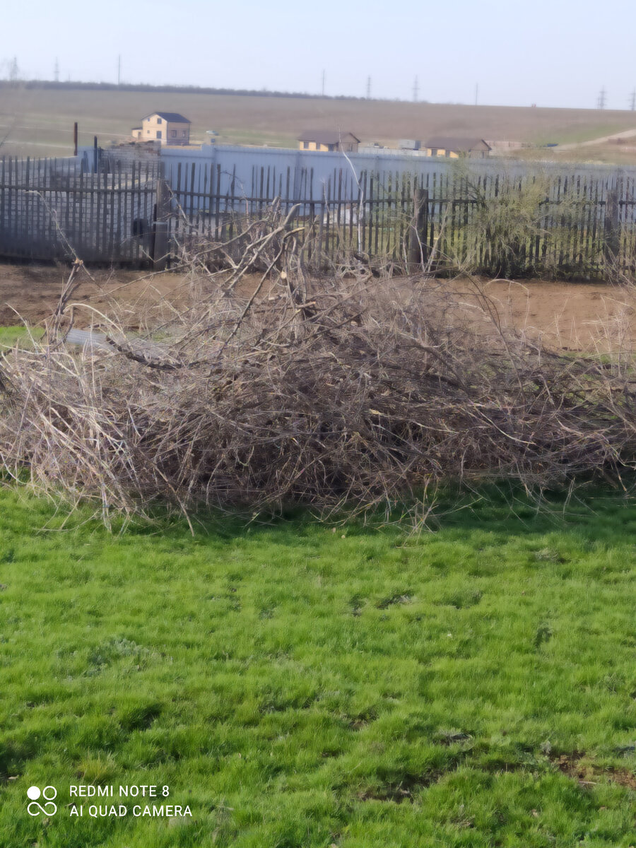 Если честно,  то куча не моя. Сфоткал у соседей. На момент написания на дачу не ездил. Но смысл понятен). 