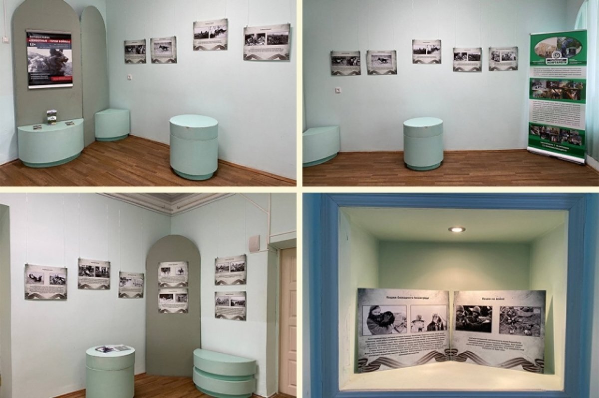    В Алексине открылась выставка «Животные — герои войны»