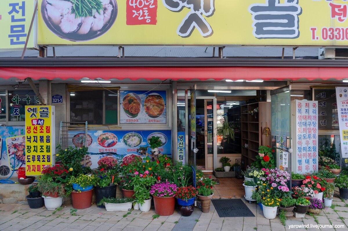 Сокчхо, Корея